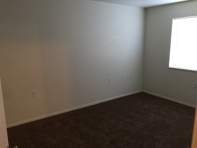 a room with a carpet and a window