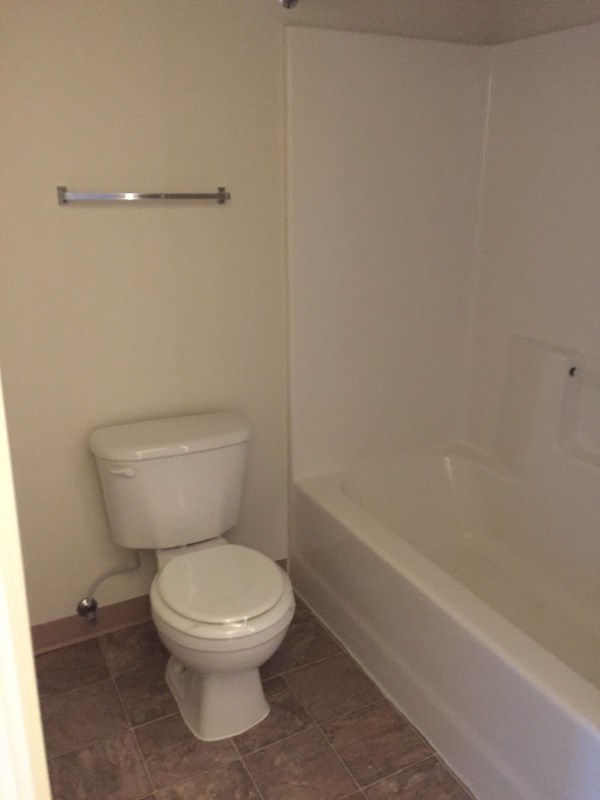 a bathroom with a toilet and a bath tub