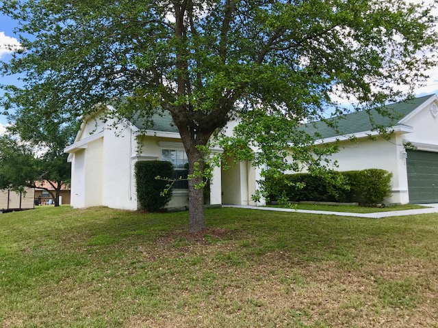 a white house with a tree in front of it