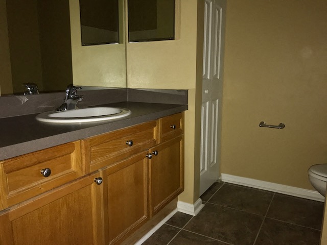 a bathroom with a sink and a toilet