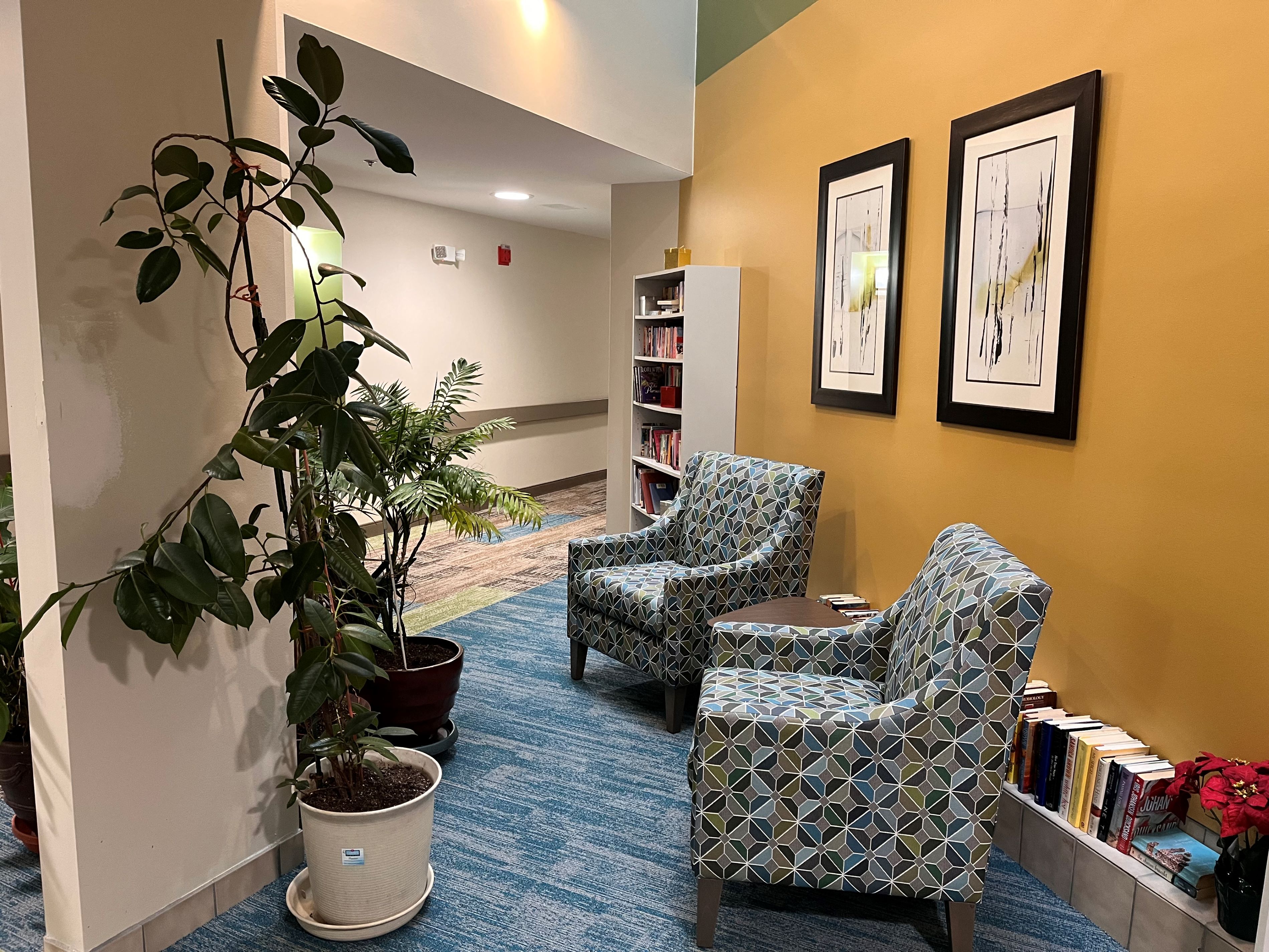 a waiting room with two chairs and a potted plant