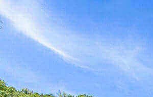 Novato Ca Apartments Crooked Oak At Loma Verde Preserve