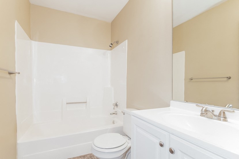 a bathroom with a sink and a toilet and a bath tub