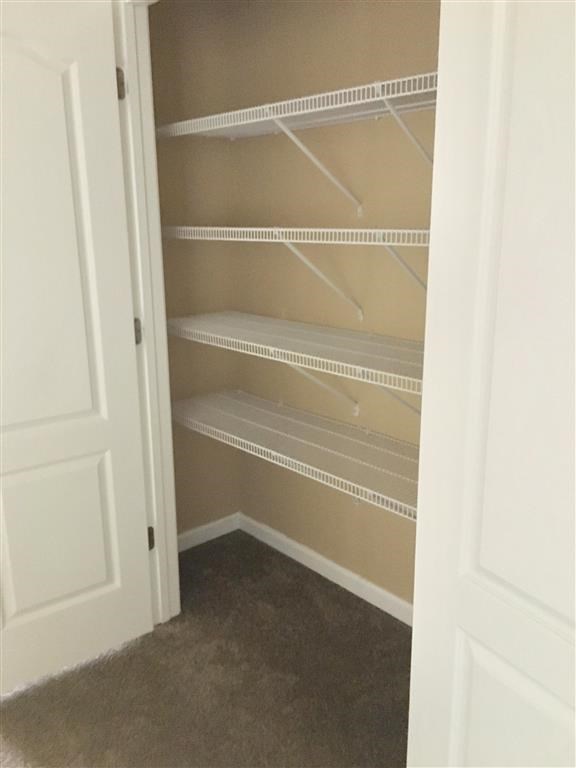 an empty closet with empty shelves in a closet