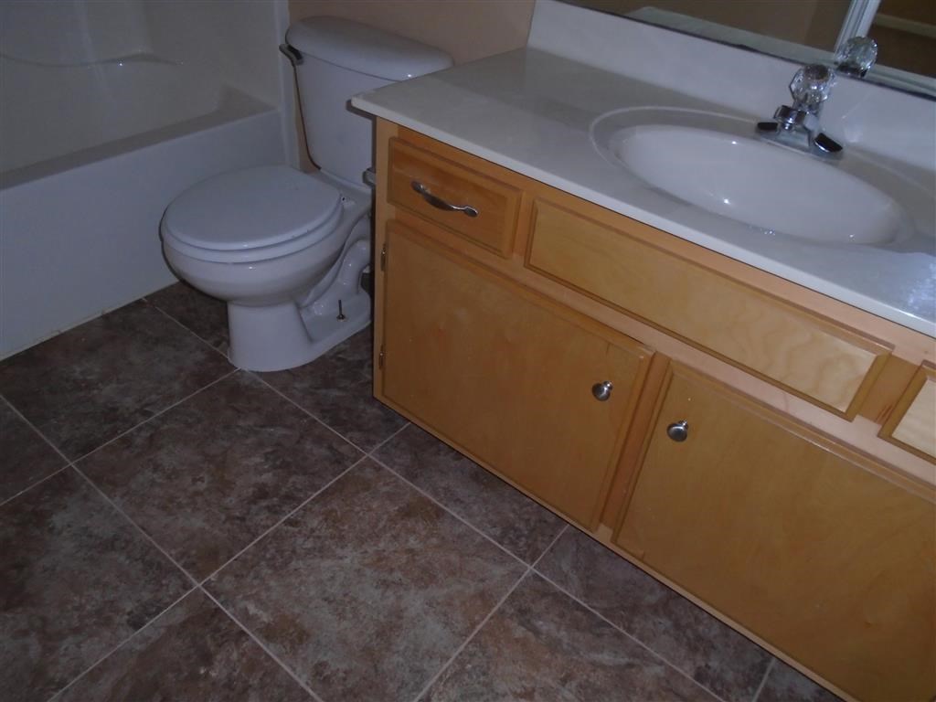 a bathroom with a sink and a toilet