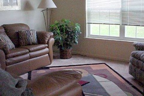 a living room with leather furniture and a rug