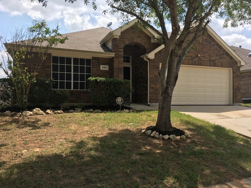 a tree in a yard in front of a house