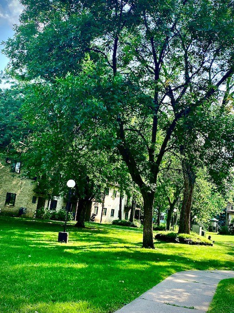 a park with green grass and trees in front of a building