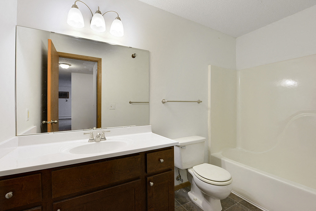 a bathroom with a sink toilet and a mirror