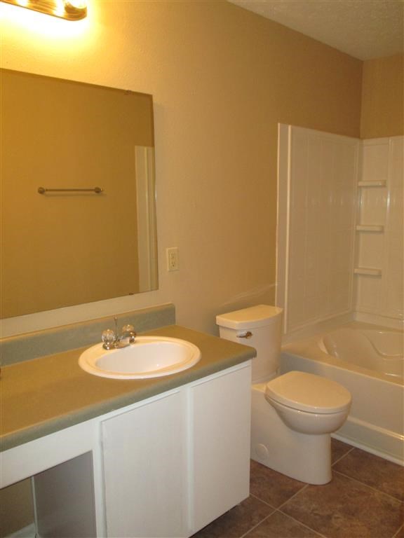 a bathroom with a sink and a toilet