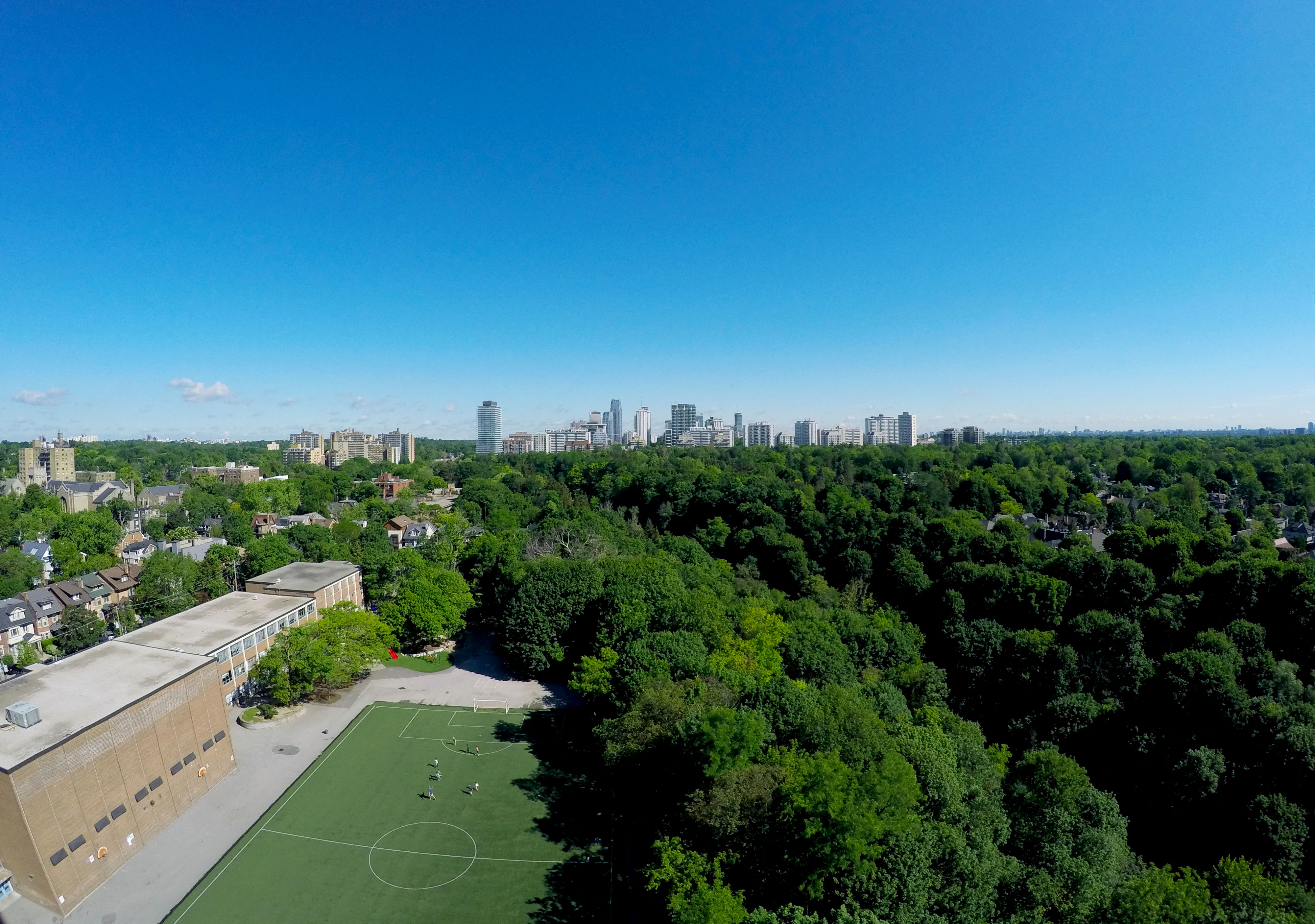 an aerial view of a park with trees and a city skyline in the background