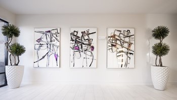 1301 Richmond Avenue Studio-2 Beds Apartment for Rent - Photo Gallery 4