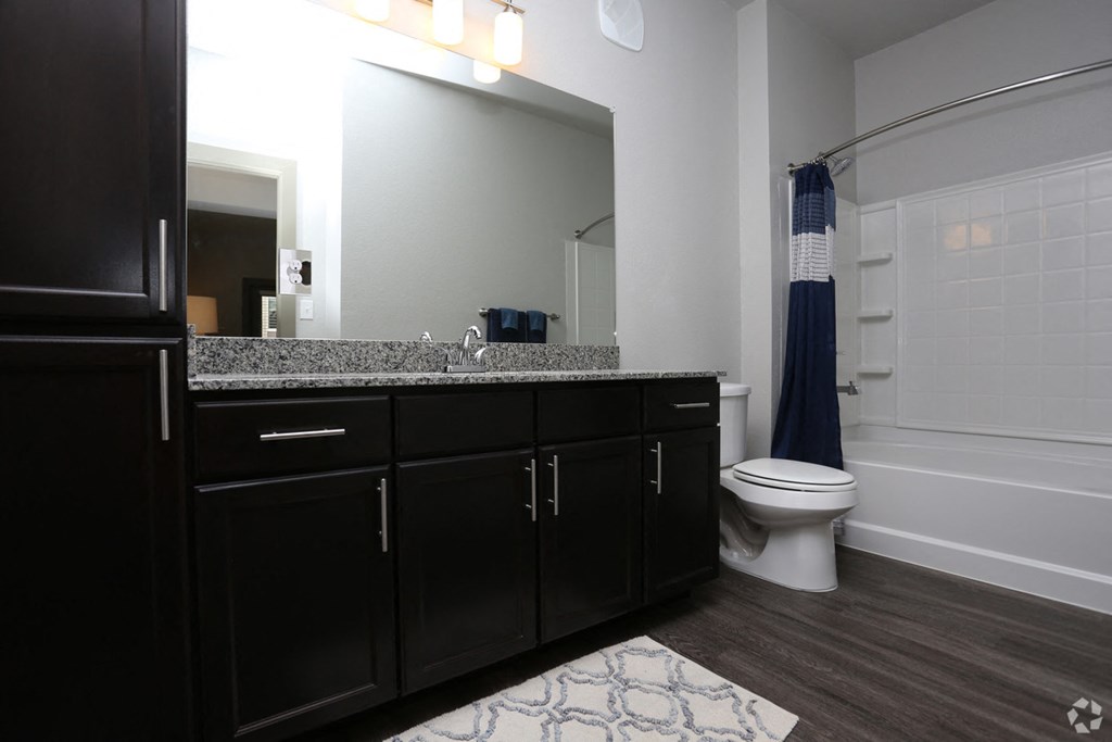 encore-at-westfork-conroe-tx-interior-photo (14)