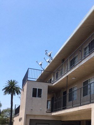 822 Myrtle Avenue 2 Beds Apartment for Rent - Photo Gallery 2