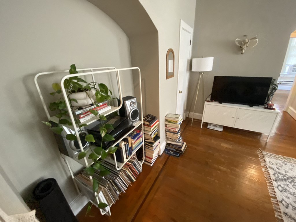 a living room with a tv and a book shelf with a plant