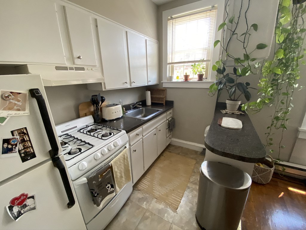 a kitchen with a stove and a sink and a refrigerator