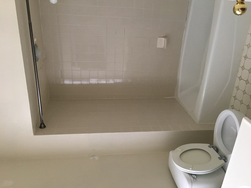 a small bathroom with a toilet and a shower