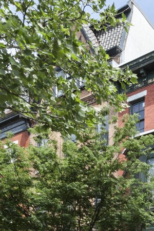 337 S 21st Street Studio-1 Bed Apartment for Rent