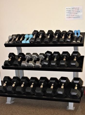 Free Weights