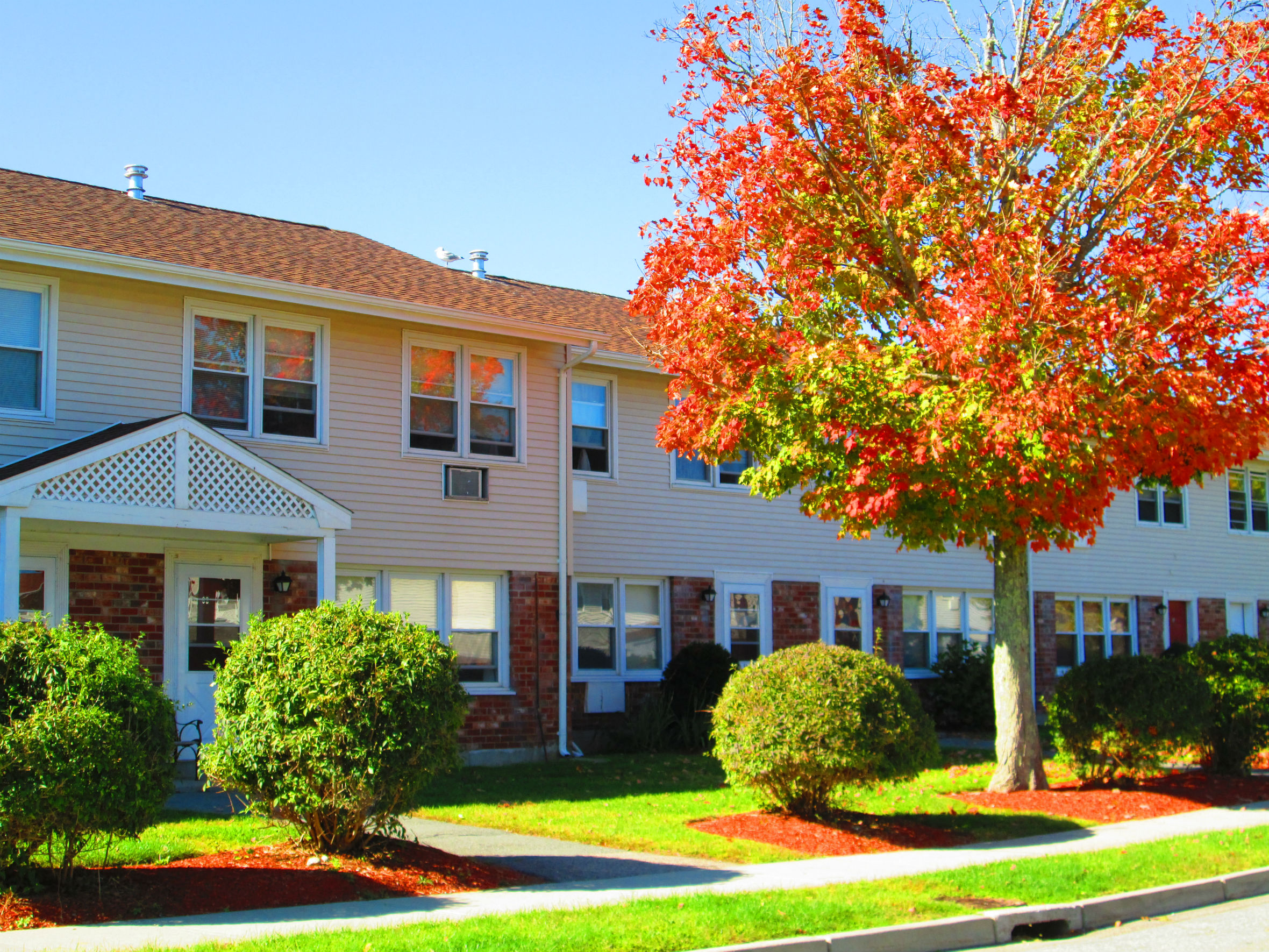 an apartment building with a tree in front of it