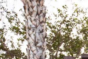 Victoria Arbors sign - Photo Gallery 3