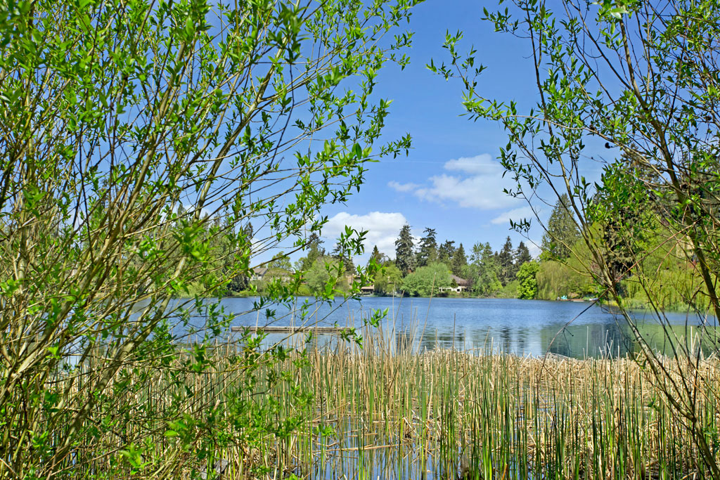 Echo Lake | Apartments In Shoreline WA | Echo Lake