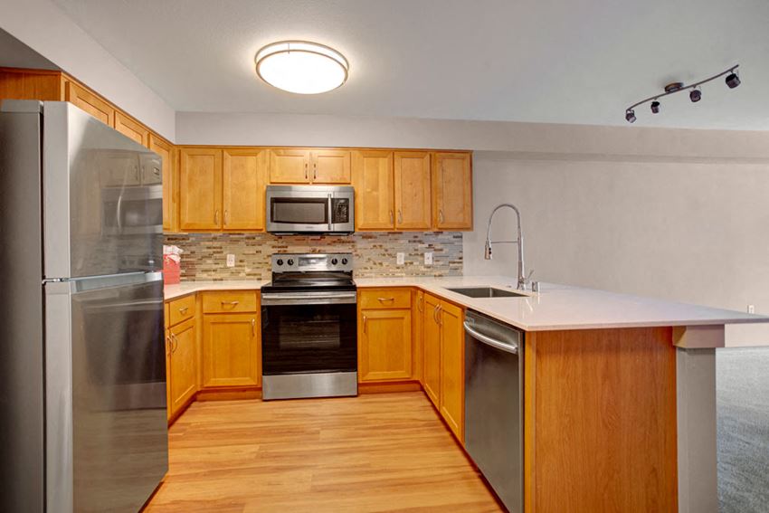 Stainless Steel Kitchen | Apartments For Rent Shoreline WA | Echo Lake - Photo Gallery 1