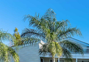 apartments for rent in 33612 fl rentcafe