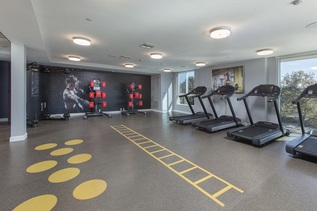 a gym with treadmills and other exercise equipment in a room with large windows