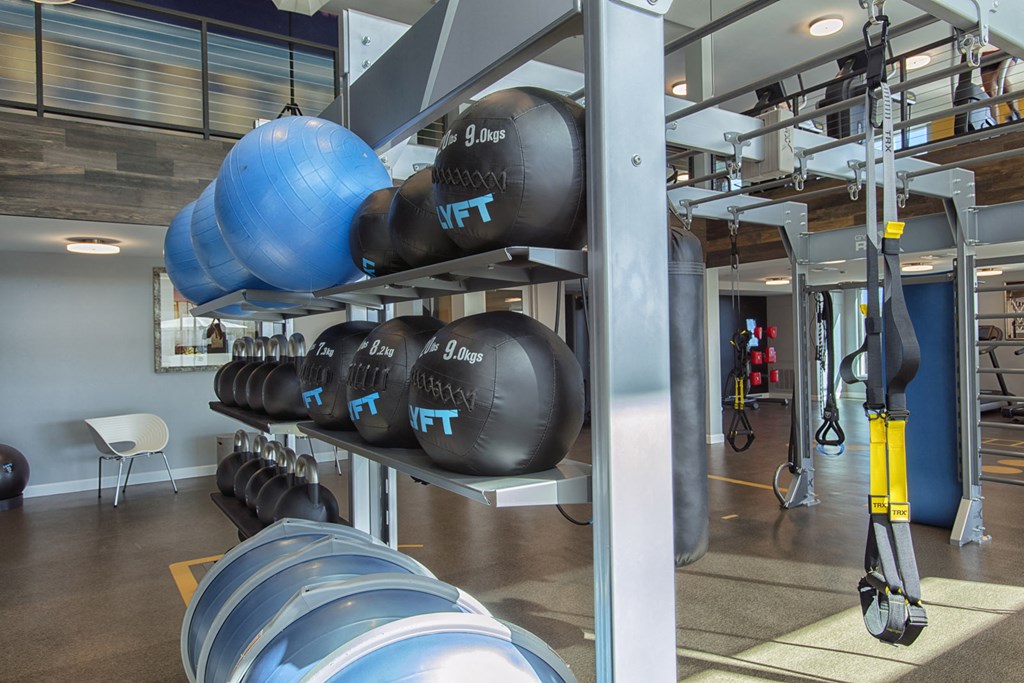 a fitness center with weights and a rack of dumbbells