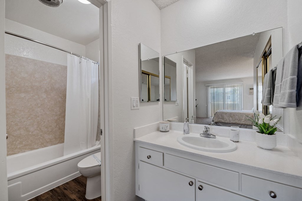 a bathroom with a large mirror and a sink and a toilet