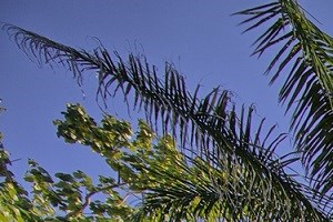 100 Best Apartments In North Port Fl With Reviews Rentcafe