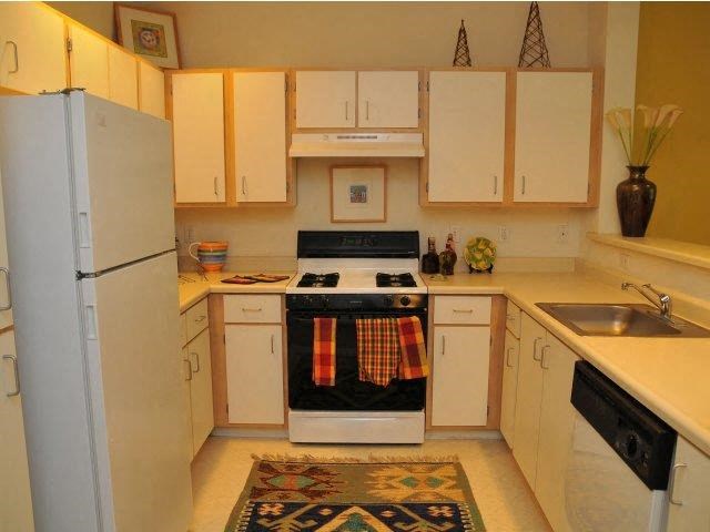 a kitchen with a stove and a refrigerator