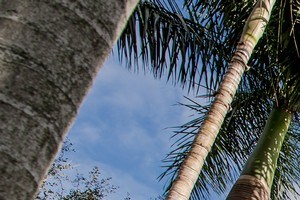 Plantation Fl Studio Apartments For Rent Rentcafé 3880 West Broward Boulevard Studio 3 Beds Apartment For Rent Photo Gallery 1