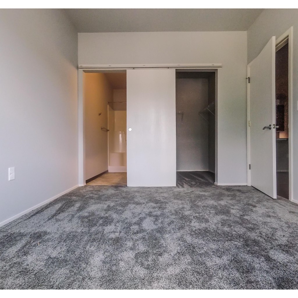 an empty living room with a carpet and a closet
