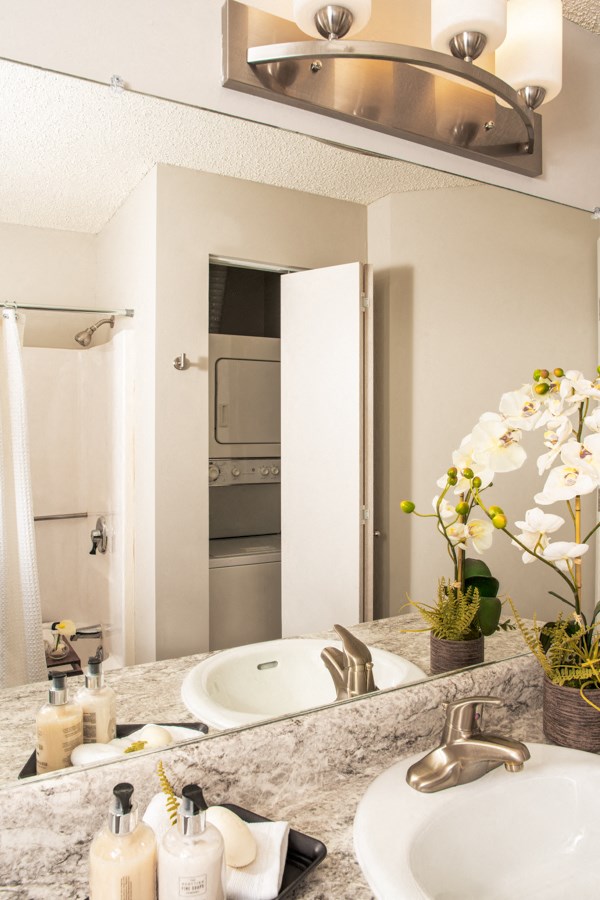 a bathroom with a sink and a mirror
