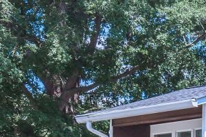 Matthews Nc Apartments For Rent Rentcaf 233