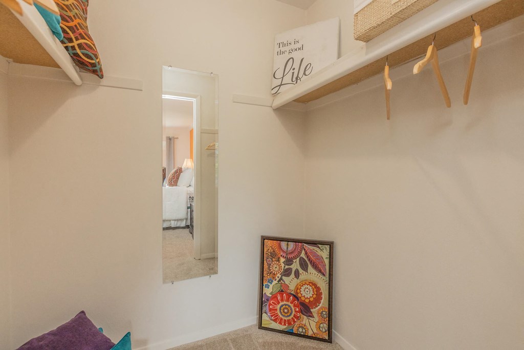 a closet with a mirror and a painting on the wall