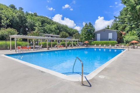 the swimming pool at the resort at paws up