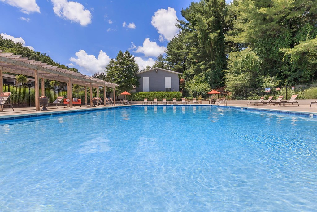 the swimming pool at the resort at paws up