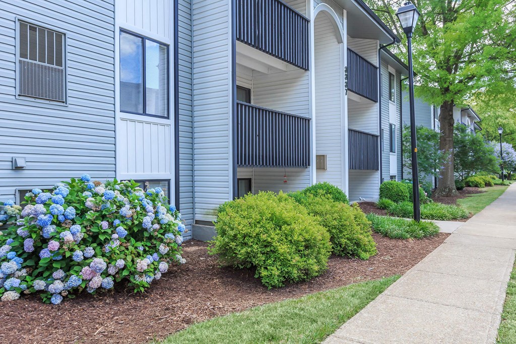 our apartments offer a walkway to the side of the building with flowers