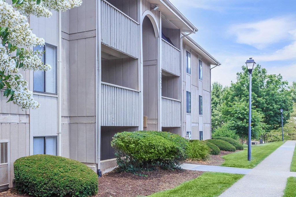 our apartments offer a walkway to the entrance of the building