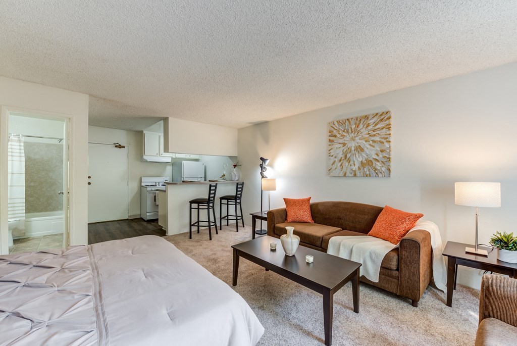 our apartments have a spacious living room with a bed and a couch