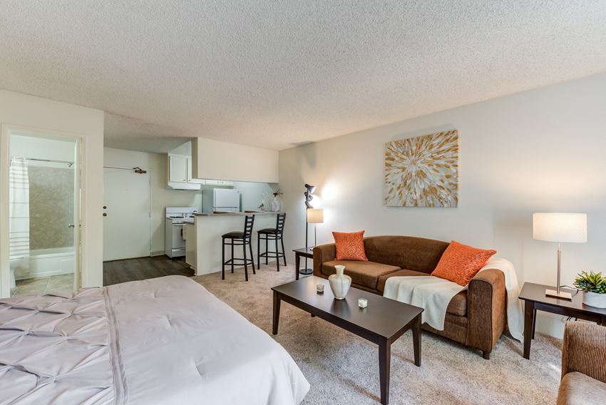our apartments have a spacious living room with a bed and a couch