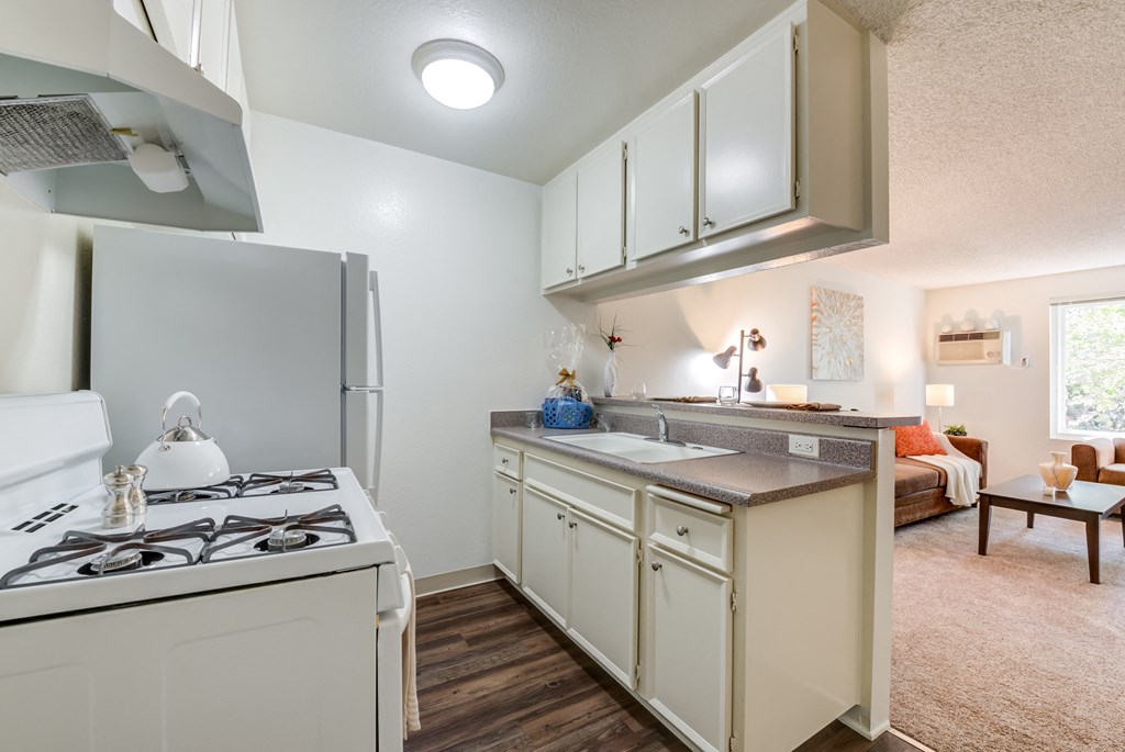 a kitchen with a stove and a refrigerator and a sink