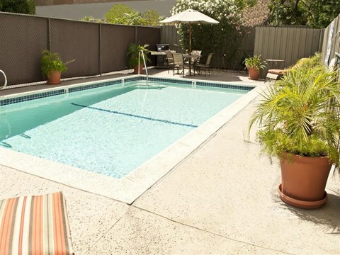 the pool is surrounded by potted plants and a fence