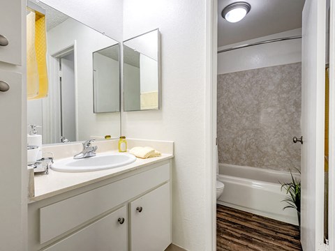 a bathroom with a sink and a shower and a mirror