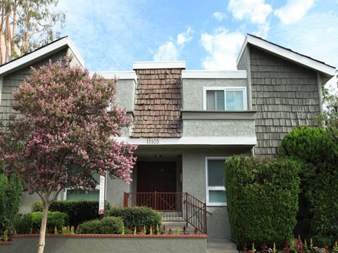 a gray house with a flowering tree in front of it