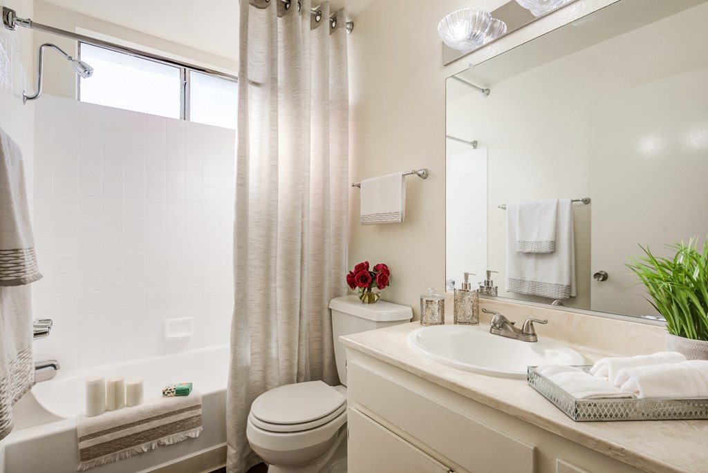 a bathroom with a sink and a toilet and a shower