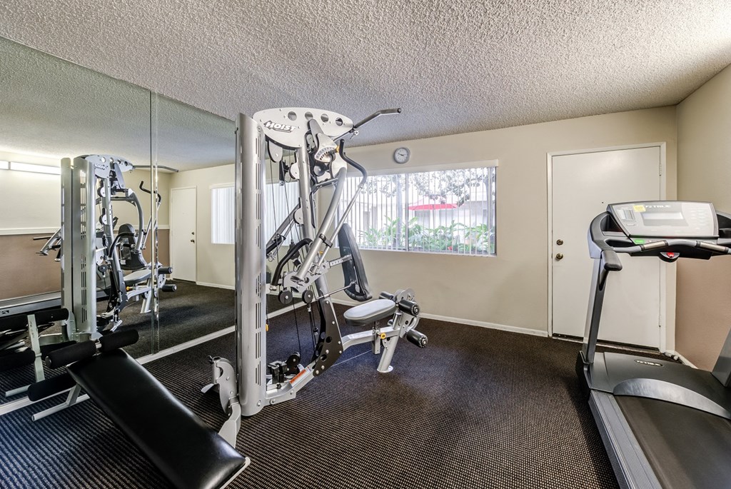 the gym at the preserve at polk apartments